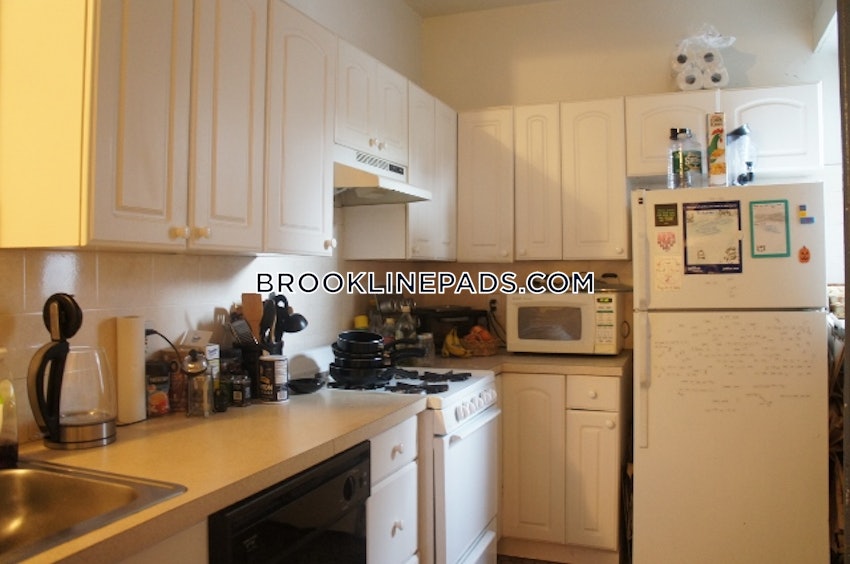 Brookline - Boston University - 4 Beds, 2 Baths - Image 10