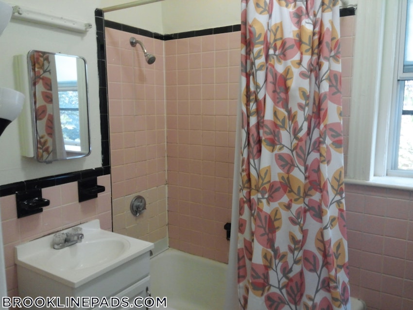 BROOKLINE- BOSTON UNIVERSITY - 2 Beds, 1 Bath - Image 18