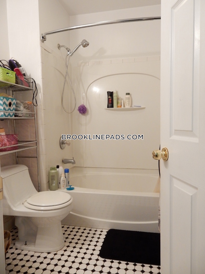 BROOKLINE- BOSTON UNIVERSITY - 4 Beds, 1 Bath - Image 13