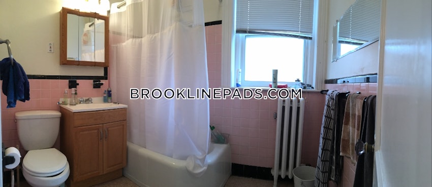 BROOKLINE- BOSTON UNIVERSITY - 1 Bed, 1 Bath - Image 24