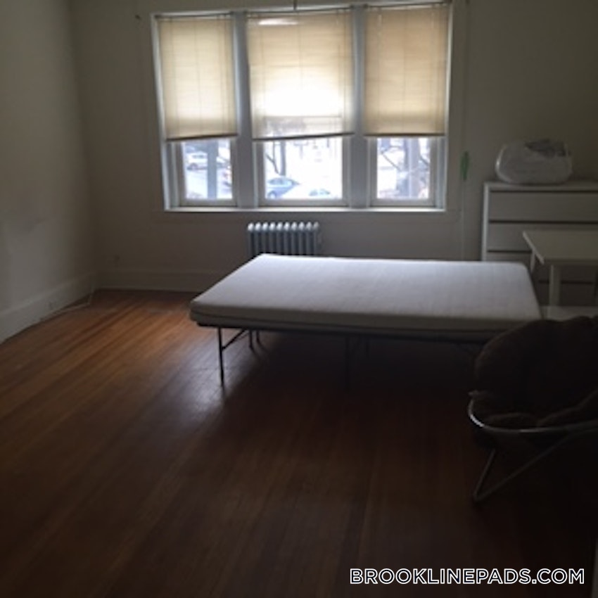 BROOKLINE- BOSTON UNIVERSITY - 3 Beds, 1 Bath - Image 19