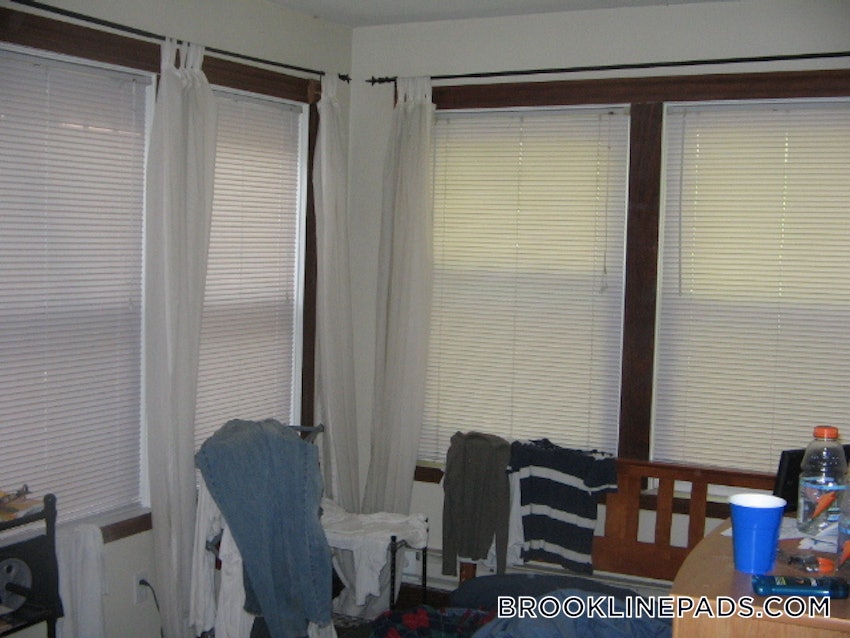 BROOKLINE- BOSTON UNIVERSITY - 3 Beds, 2 Baths - Image 64