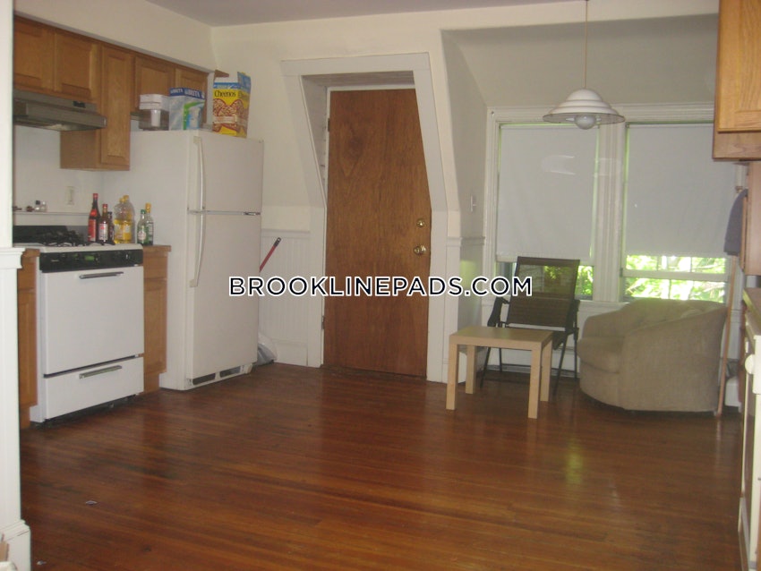 BROOKLINE - BROOKLINE HILLS - 3 Beds, 1 Bath - Image 12