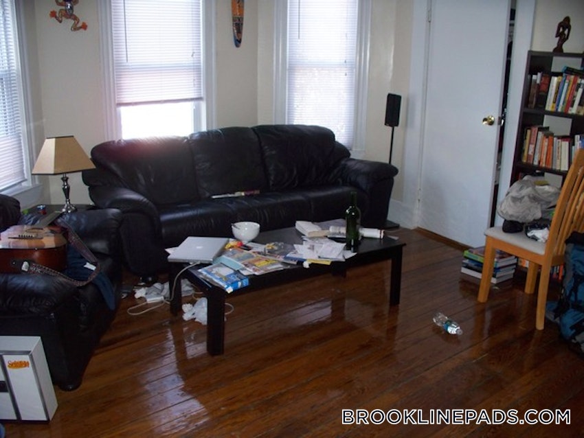 BROOKLINE- BROOKLINE VILLAGE - 4 Beds, 1 Bath - Image 13