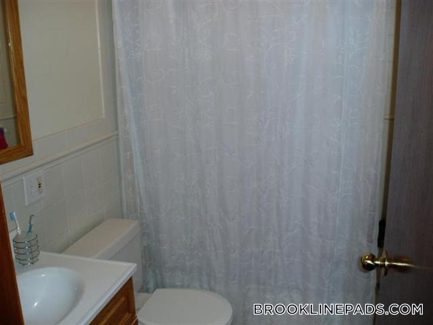 BROOKLINE- BROOKLINE VILLAGE - 4 Beds, 2 Baths - Image 17