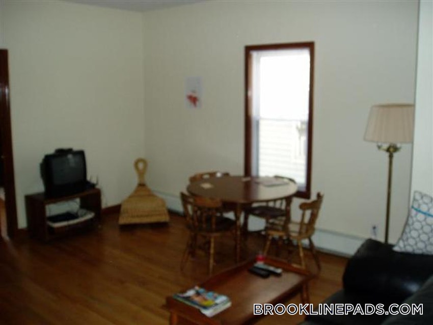 BROOKLINE- BROOKLINE VILLAGE - 4 Beds, 2 Baths - Image 14