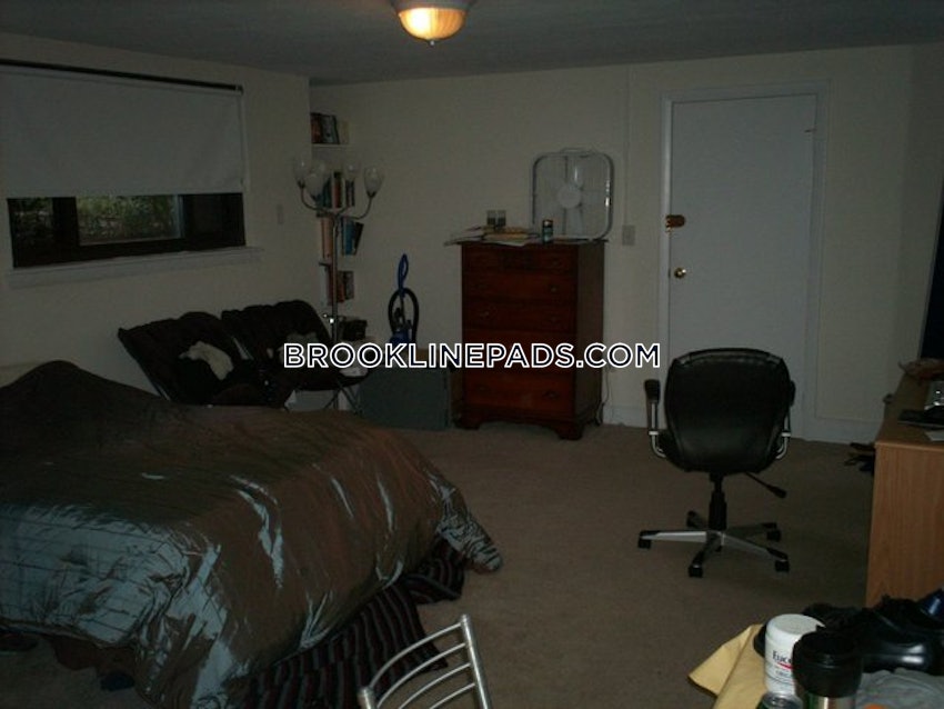 BROOKLINE- BROOKLINE VILLAGE - Studio , 1 Bath - Image 12