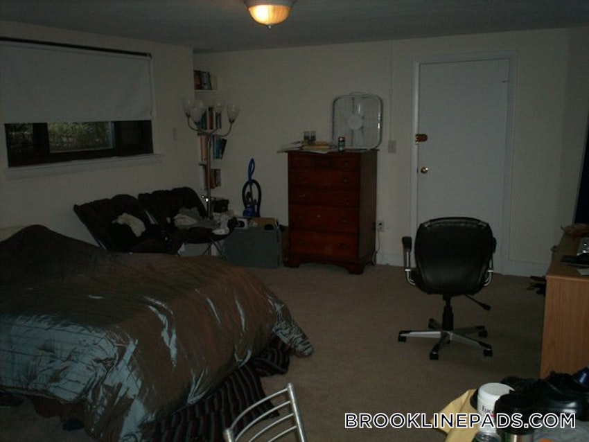 BROOKLINE- BROOKLINE VILLAGE - Studio , 1 Bath - Image 12