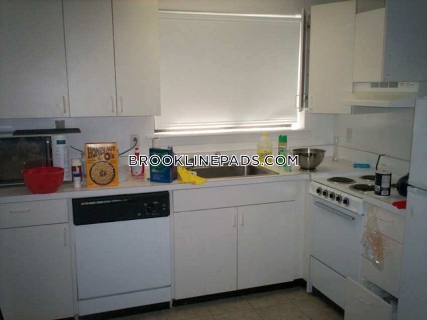 BROOKLINE- BROOKLINE VILLAGE - Studio , 1 Bath - Image 11