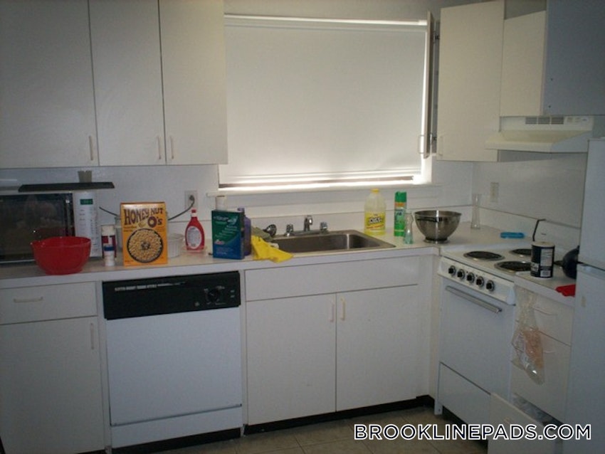 BROOKLINE- BROOKLINE VILLAGE - Studio , 1 Bath - Image 11