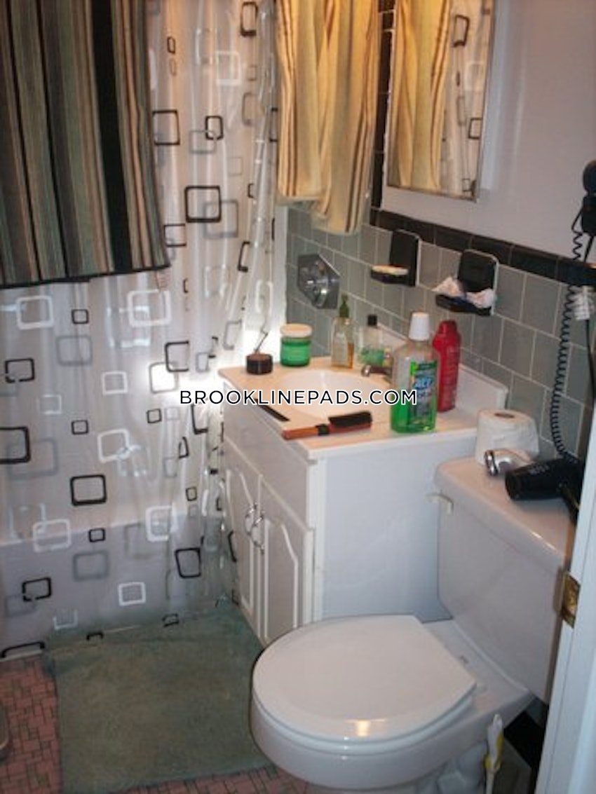 BROOKLINE- BROOKLINE VILLAGE - Studio , 1 Bath - Image 9