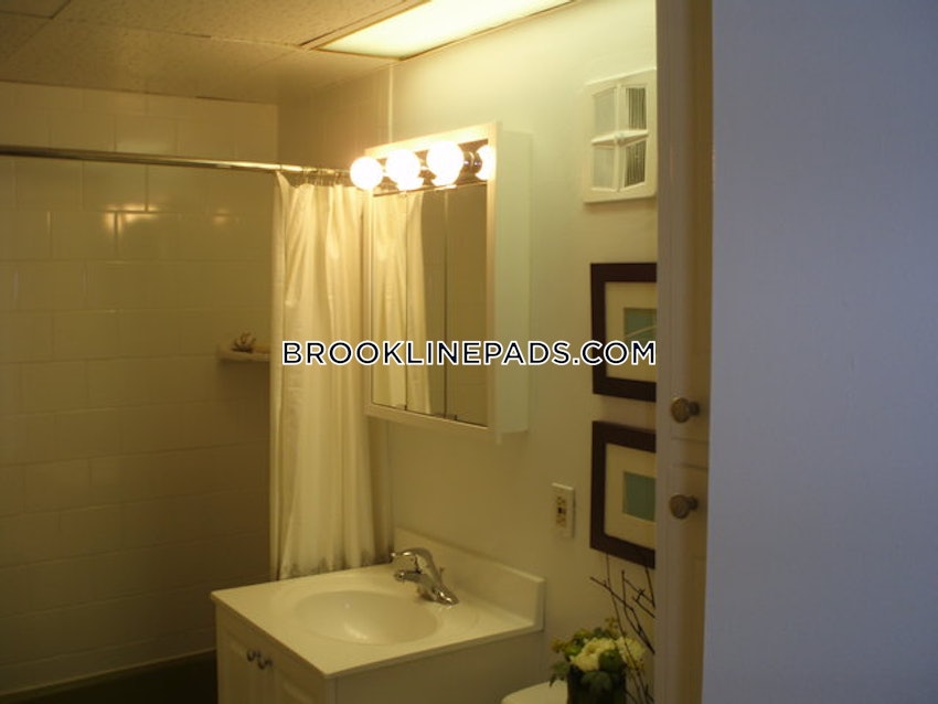 BROOKLINE- COOLIDGE CORNER - 1 Bed, 1 Bath - Image 7