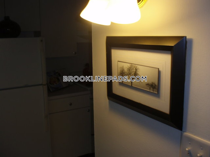 BROOKLINE- COOLIDGE CORNER - 1 Bed, 1 Bath - Image 3