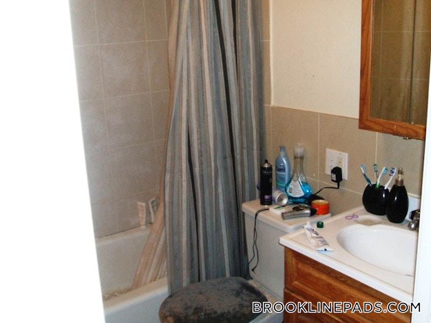 BROOKLINE- BROOKLINE VILLAGE - 4 Beds, 2 Baths - Image 40