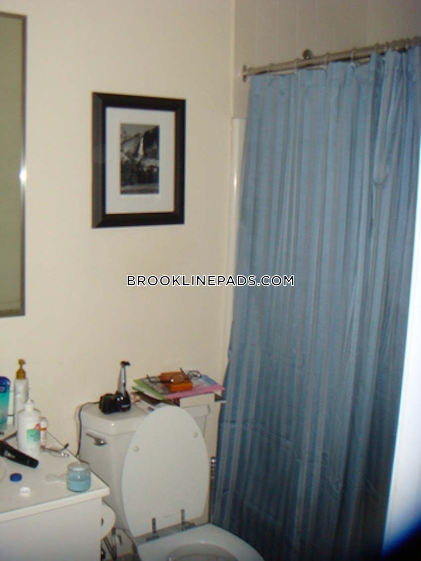 BROOKLINE- BROOKLINE VILLAGE - 3 Beds, 2 Baths - Image 19