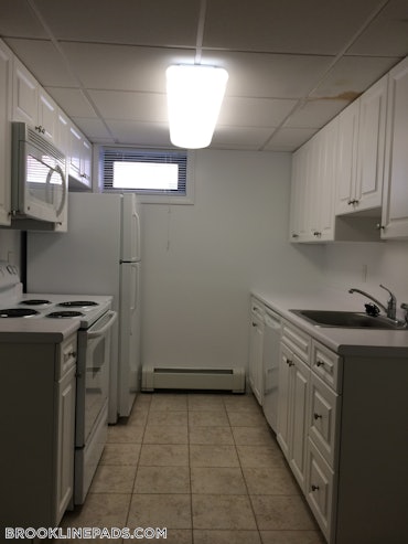 Brookline Village, Brookline, MA - 1 Bed, 1 Bath - $2,860 - ID#4586585