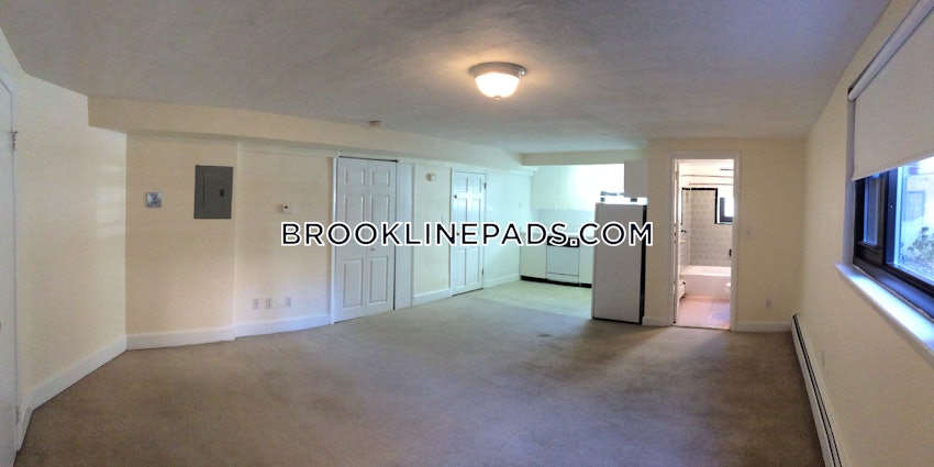 BROOKLINE- BROOKLINE VILLAGE - Studio , 1 Bath - Image 8