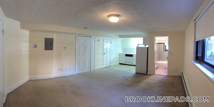 BROOKLINE- BROOKLINE VILLAGE - Studio , 1 Bath - Image 8