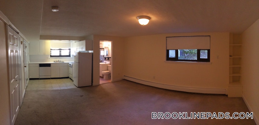 BROOKLINE- BROOKLINE VILLAGE - Studio , 1 Bath - Image 6