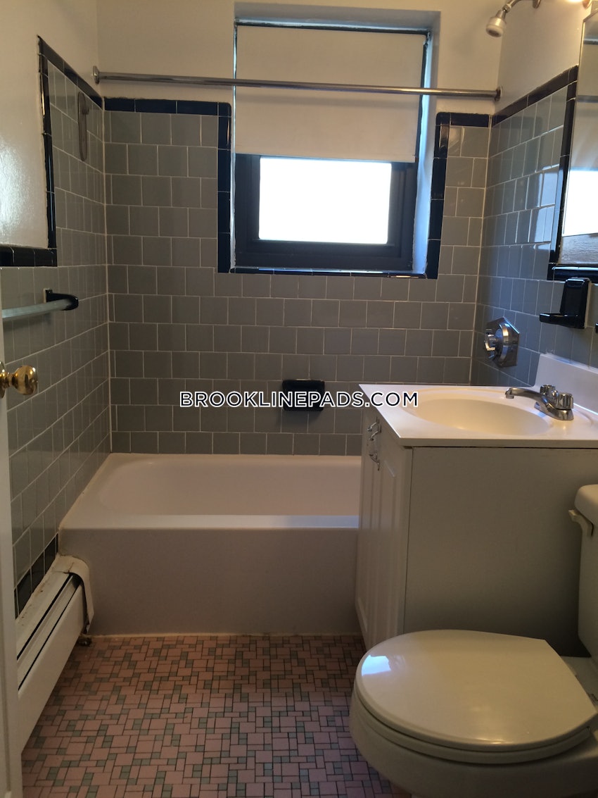 BROOKLINE- BROOKLINE VILLAGE - Studio , 1 Bath - Image 3