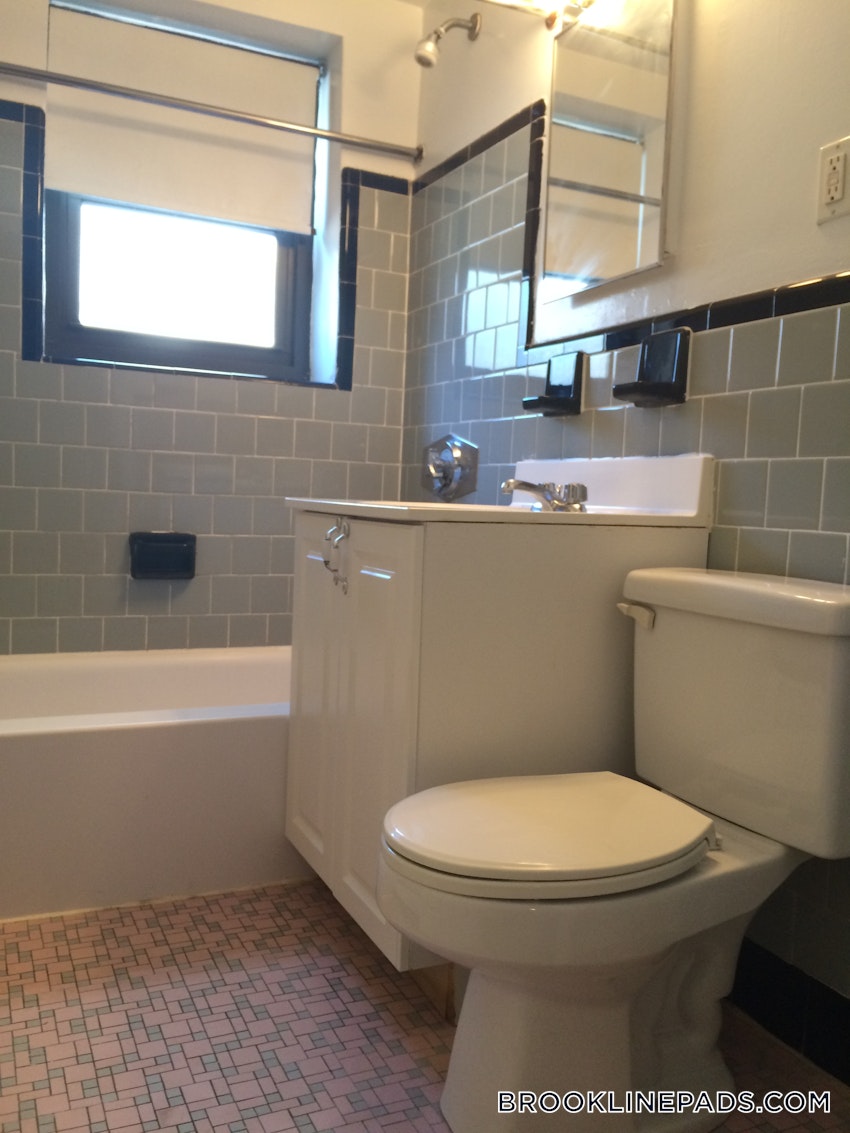 BROOKLINE- BROOKLINE VILLAGE - Studio , 1 Bath - Image 1