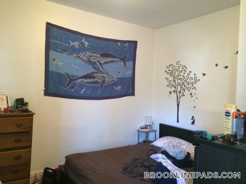 BROOKLINE- BROOKLINE VILLAGE - 1 Bed, 1 Bath - Image 2