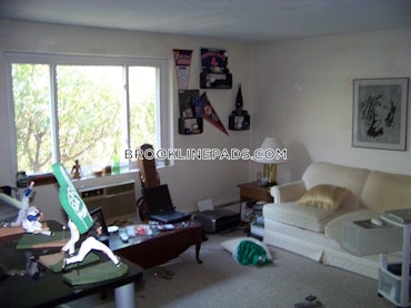 Chestnut Hill - 1 Beds, 1 Baths