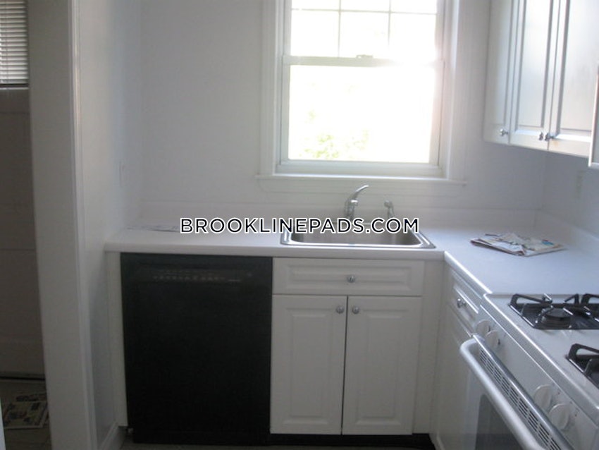 BROOKLINE - CHESTNUT HILL - 1 Bed, 1 Bath - Image 4