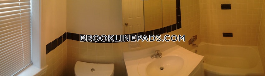 Brookline - Chestnut Hill - 2 Beds, 1 Bath - Image 6