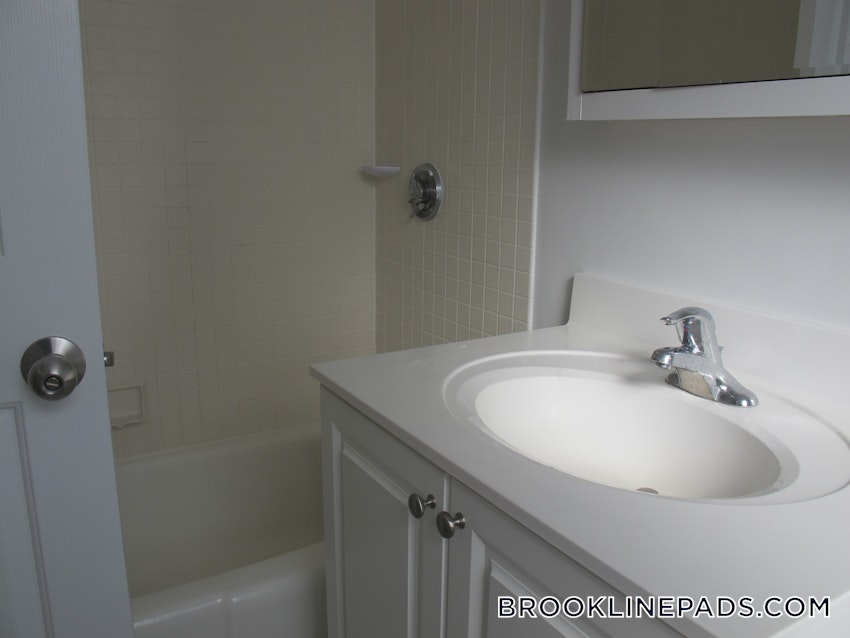 BROOKLINE - CHESTNUT HILL - 1 Bed, 1 Bath - Image 4