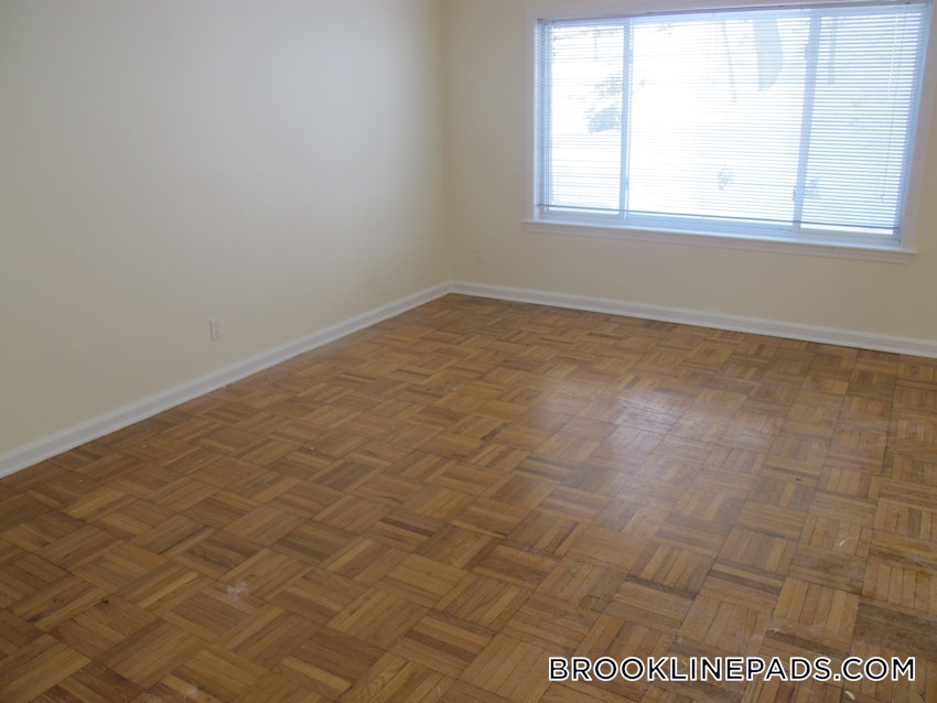 BROOKLINE - CHESTNUT HILL - 1 Bed, 1 Bath - Image 1