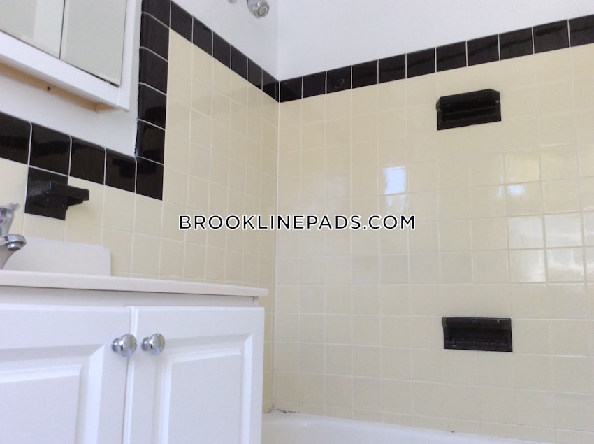 Brookline - Chestnut Hill - 1 Bed, 1 Bath - Image 10