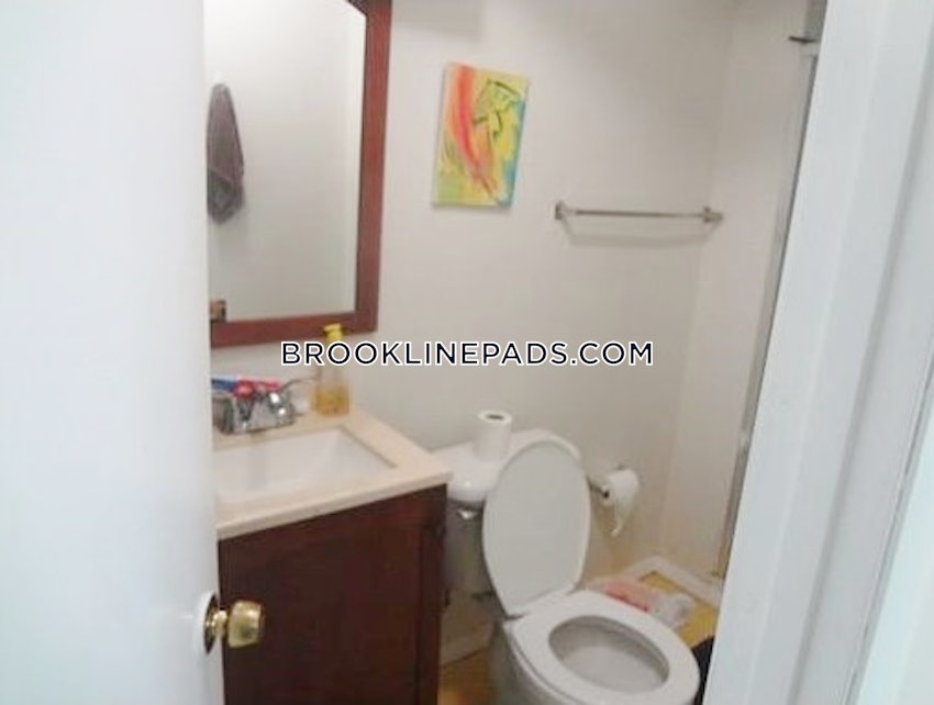 BROOKLINE - CHESTNUT HILL - 1 Bed, 1 Bath - Image 10