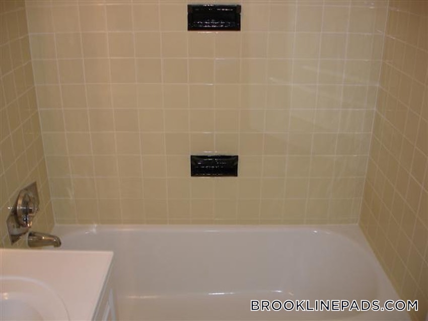 BROOKLINE - CHESTNUT HILL - 1 Bed, 1 Bath - Image 2