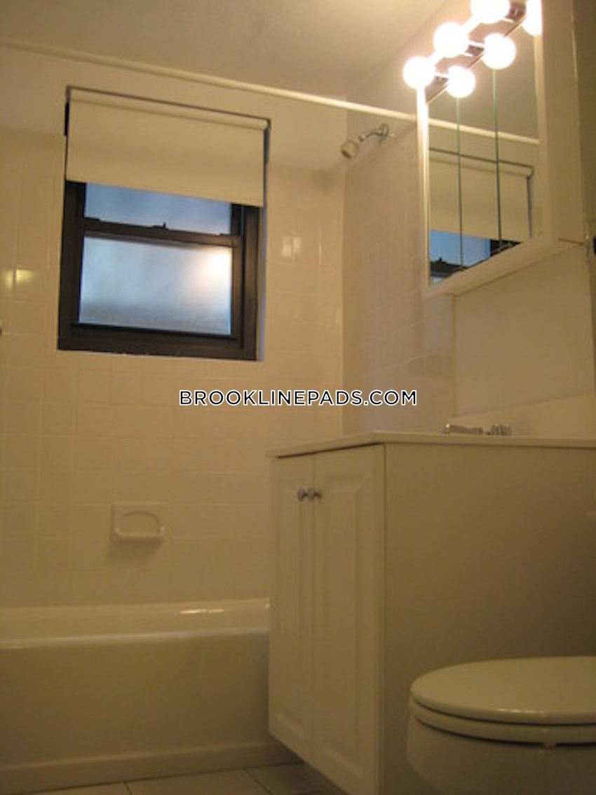 Brookline - Coolidge Corner - 1 Bed, 1 Bath - Image 8