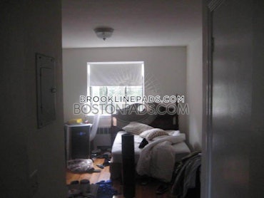 Coolidge Corner, Brookline, MA - 1 Bed, 1 Bath - $3,250 - ID#4627005