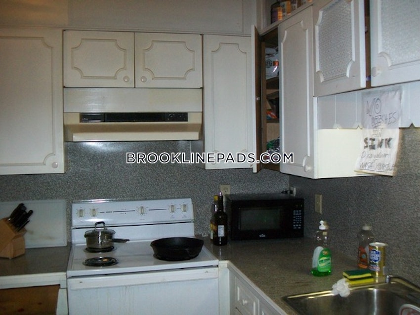 Brookline - Coolidge Corner - 3 Beds, 1 Bath - Image 5