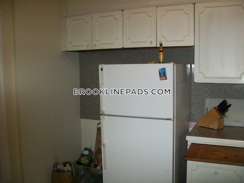 Brookline - Coolidge Corner - 3 Beds, 1 Bath - Image 12