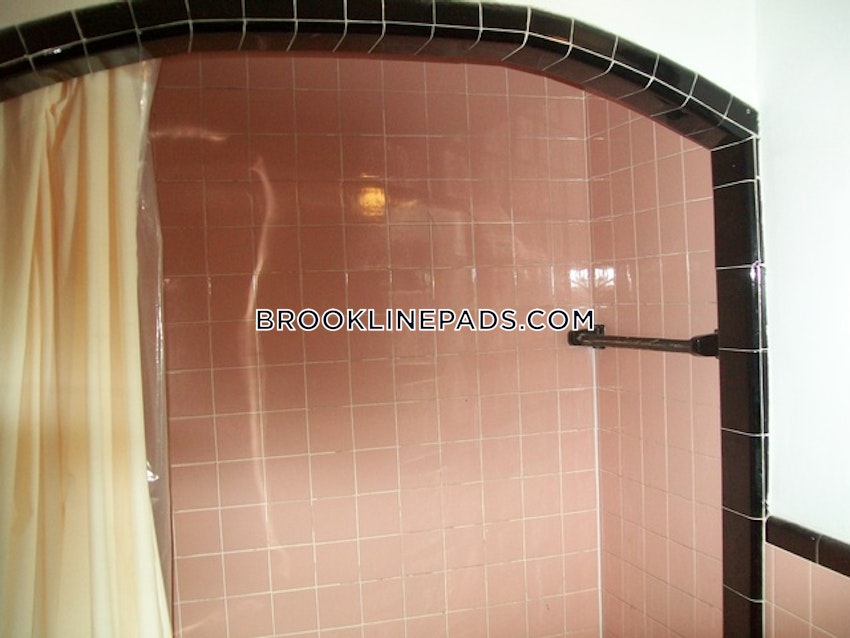 Brookline - Coolidge Corner - 3 Beds, 1 Bath - Image 14