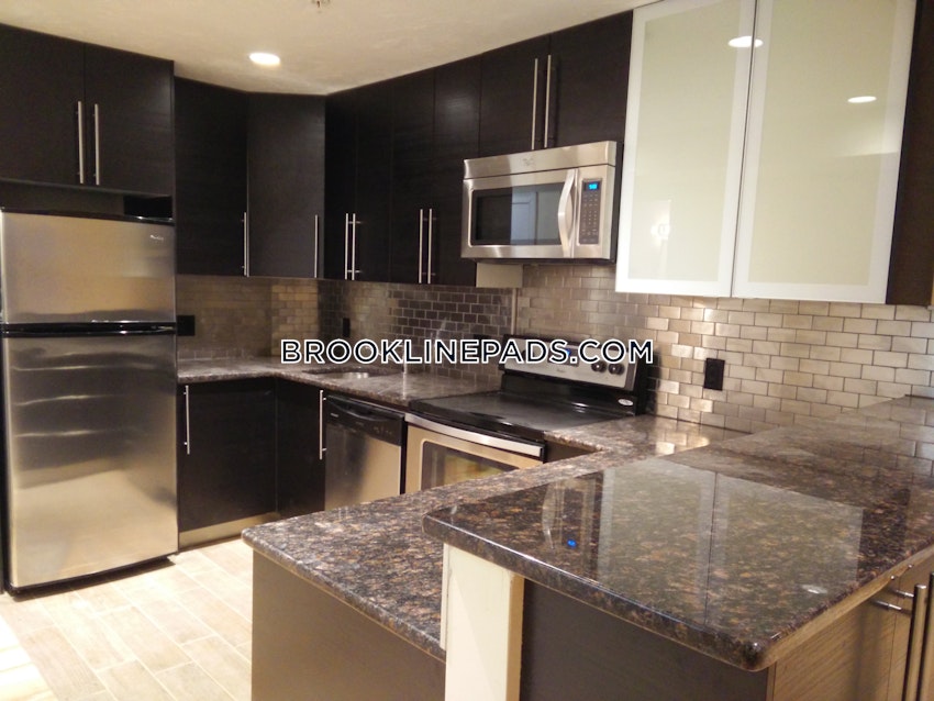 Brookline - Coolidge Corner - 4 Beds, 2 Baths - Image 14