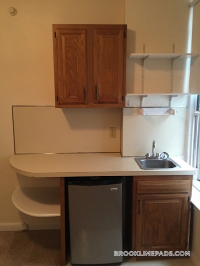 Brookline 0 Bed 1 Bath BROOKLINE- COOLIDGE CORNER $1,865  Coolidge Corner - $1,865 No Fee