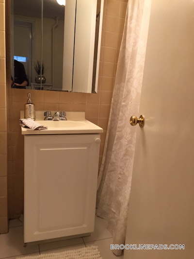 Brookline Apartment for rent Studio 1 Bath  Coolidge Corner - $1,865 No Fee