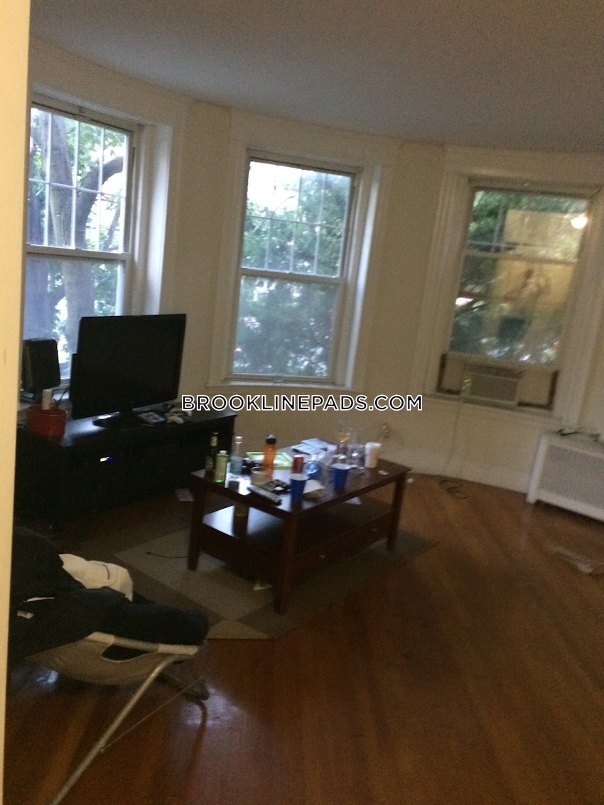 Brookline - Coolidge Corner - 3 Beds, 1 Bath - Image 2