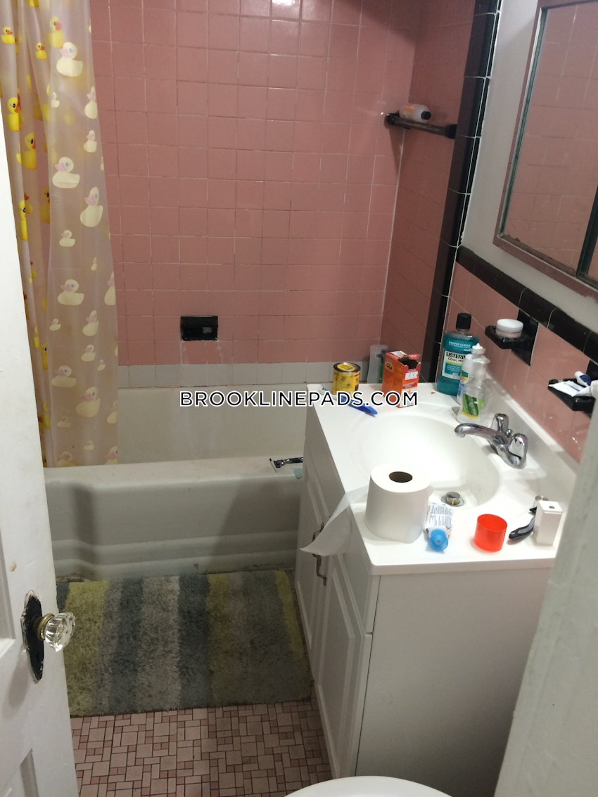 Brookline - Coolidge Corner - 3 Beds, 1 Bath - Image 13