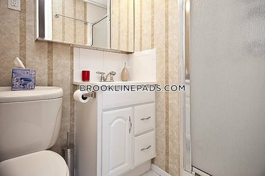 BROOKLINE- COOLIDGE CORNER - 2 Beds, 2 Baths - Image 11