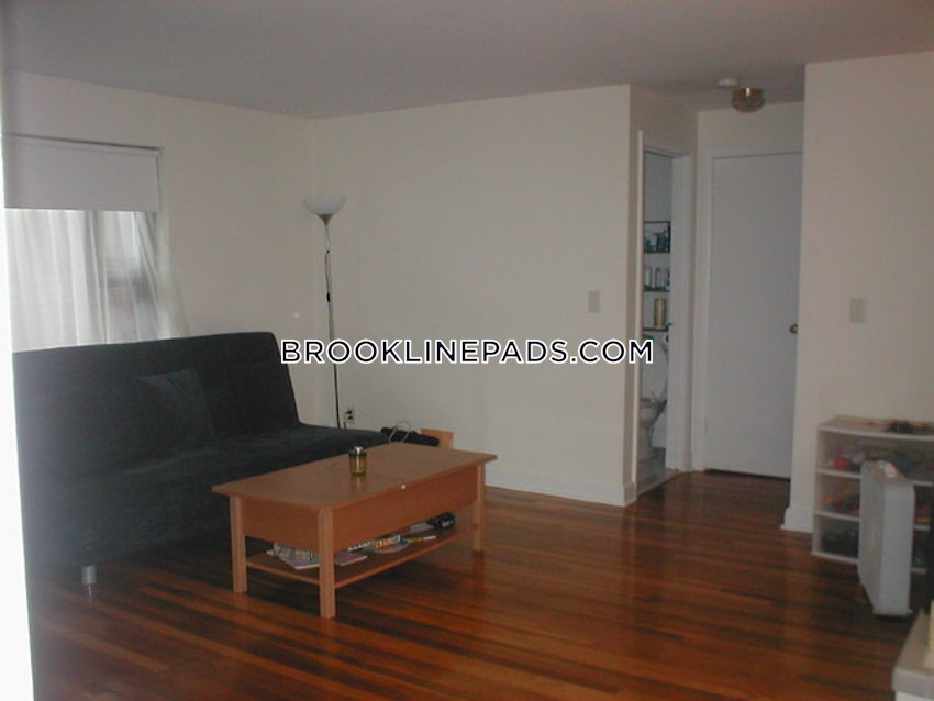 BROOKLINE- COOLIDGE CORNER - 1 Bed, 1 Bath - Image 10