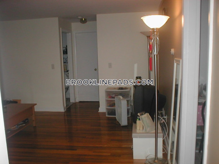 BROOKLINE- COOLIDGE CORNER - 1 Bed, 1 Bath - Image 9