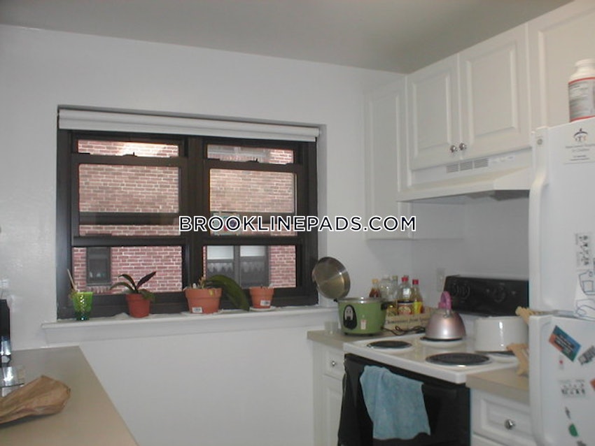 BROOKLINE- COOLIDGE CORNER - 1 Bed, 1 Bath - Image 7