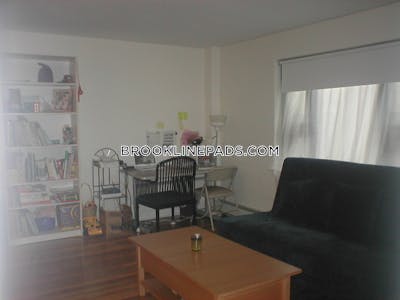 Brookline Apartment for rent 1 Bedroom 1 Bath  Coolidge Corner - $2,795 No Fee