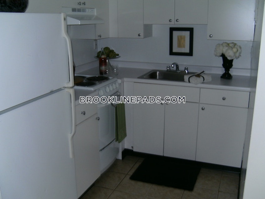 BROOKLINE- LONGWOOD AREA - 1 Bed, 1 Bath - Image 9